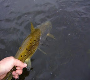 Donde y en que pica el cabezudo en la pesca rusa